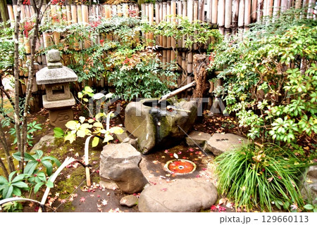 横浜市 横浜公園・彼我庭園の蹲踞と水琴窟 横浜市 横浜公園・彼我庭園の蹲踞と水琴窟 129660113