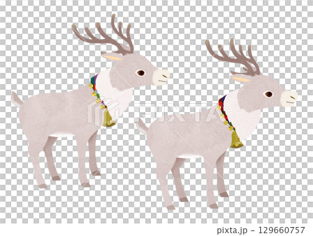 馴鹿 129660757