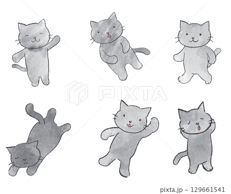 色々な表情をした灰色の猫 ポーズ集 色々な表情をした灰色の猫 ポーズ集 129661541