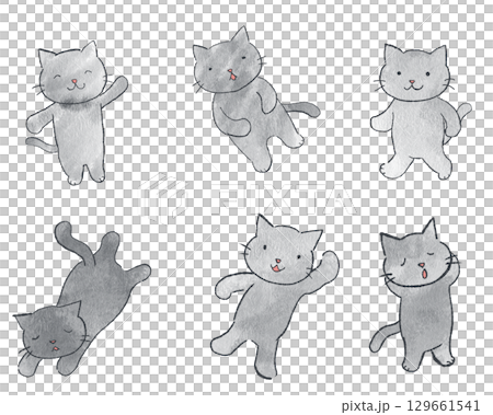 色々な表情をした灰色の猫 ポーズ集 色々な表情をした灰色の猫 ポーズ集 129661541
