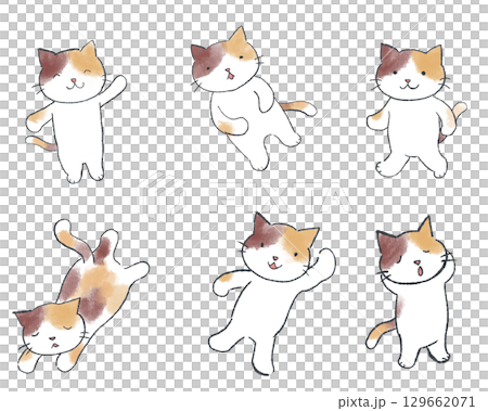 色々な表情をした　ゆるい三毛猫 ポーズ集 129662071