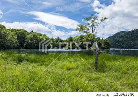 夏の奥日光 湯の湖の風景 夏の奥日光 湯の湖の風景 129662380