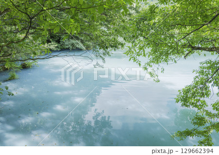 夏の奥日光　湯の湖の風景 129662394