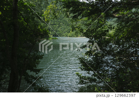 夏の奥日光　湯の湖の風景 129662397