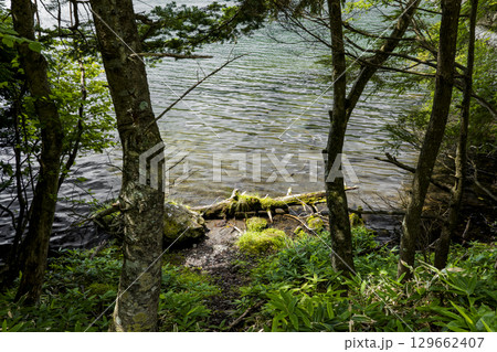 夏の奥日光 湯の湖の風景 夏の奥日光 湯の湖の風景 129662407