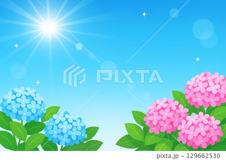 6月　アジサイ　青空　太陽　 129662530