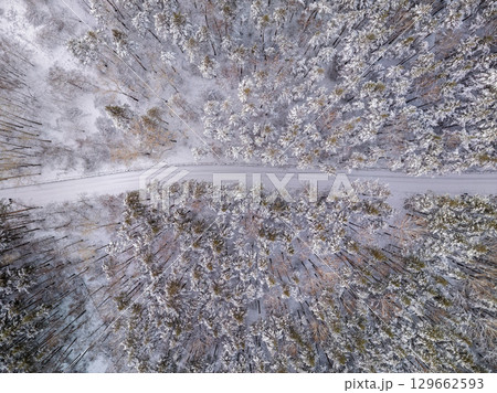 Aerial view of the road in the winter forest with high pine or spruce trees covered by snow. Driving in winter. Aerial view of the road in the winter forest with high pine or spruce trees covered by snow. Driving in winter. 129662593