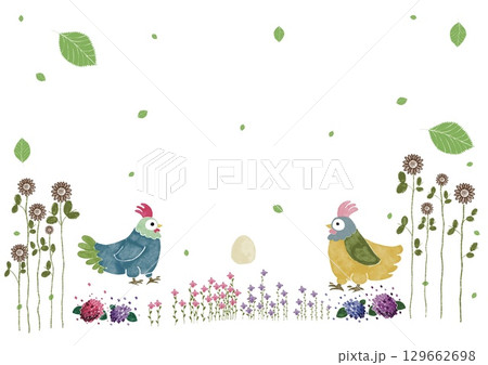 コケコッコー!のどかな庭のニワトリたち」 コケコッコー!のどかな庭のニワトリたち」 129662698