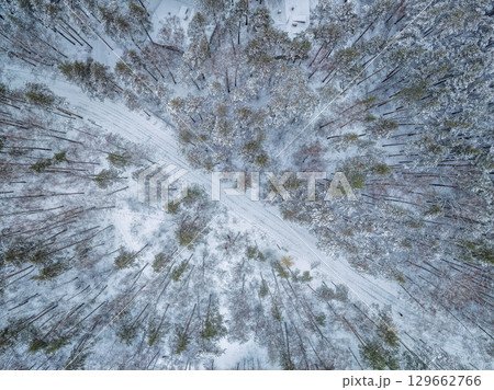Aerial view of the road in the winter forest with high pine or spruce trees covered by snow. Driving in winter. 129662766