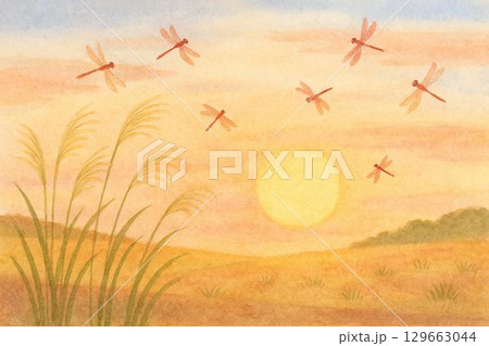 夕焼け　赤蜻蛉　ススキ 129663044