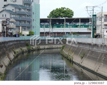 京阪電鉄・萱島駅のホームに生えるクスノキ 京阪電鉄・萱島駅のホームに生えるクスノキ 129663087