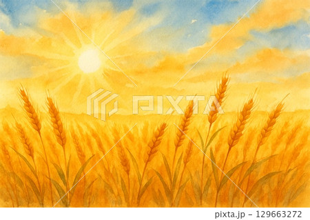 麦畑　夕焼け空　夕日 129663272