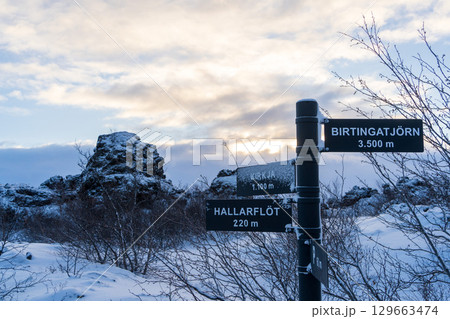 アイスランド・ディムボルギルの雪景色と案内標識（ミーヴァトン湖周辺） 129663474