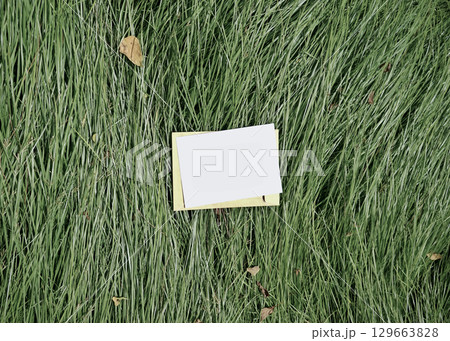 Real crafted photo card white blank mockup design natural green grass outdoor meadow background 129663828