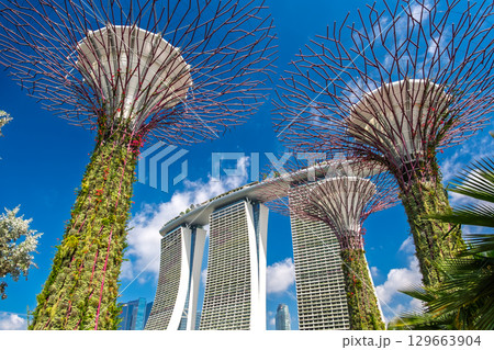 シンガポール ガーデンズ・バイ・ザ・ベイ 129663904