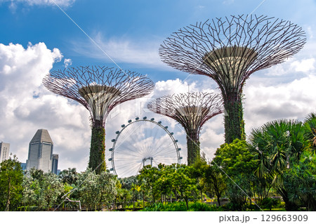 シンガポール ガーデンズ・バイ・ザ・ベイ 129663909