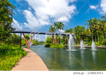 シンガポール ガーデンズ・バイ・ザ・ベイ、ドラゴンフライ湖 129663911