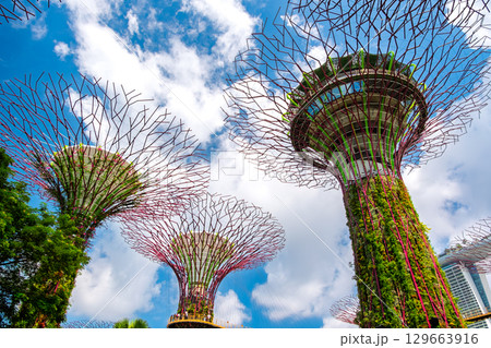 シンガポール ガーデンズ・バイ・ザ・ベイ シンガポール ガーデンズ・バイ・ザ・ベイ 129663916