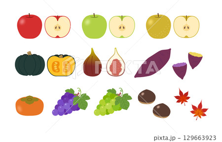 秋の味覚 イラストセット 129663923