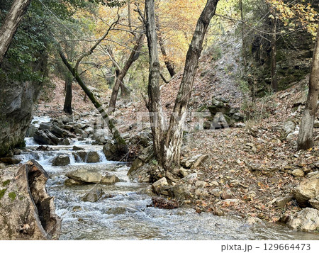 mountain river fast for waterfall rapids stream autumn. High quality photo mountain river fast for waterfall rapids stream autumn. High quality photo 129664473