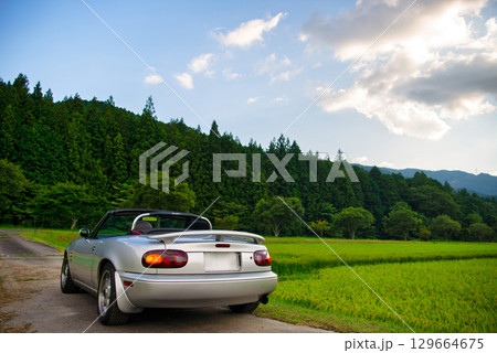 オープンカーのリアビュー 129664675