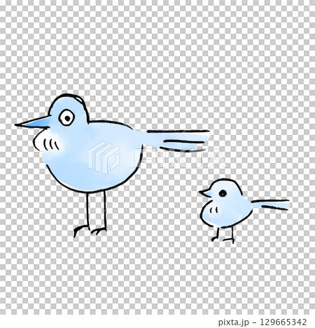 一隻藍色鳥的父母和孩子 129665342