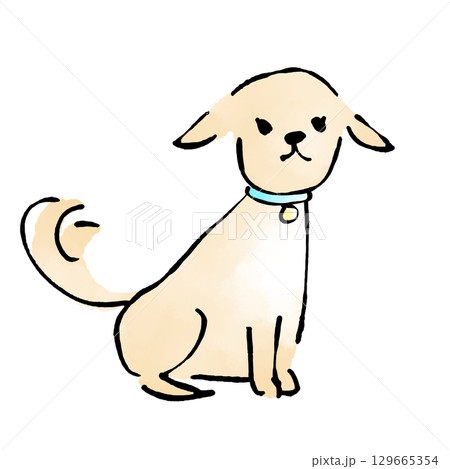 オシャレな首輪　おすわりした犬 129665354