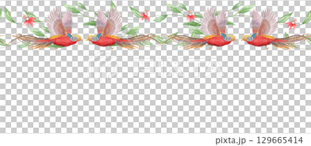Golden pheasant, leafy vines, flowers. Vibrant watercolor horizontal border isolated on white. Hand-painted clip art ideal for exotic branding, summer invitations, packaging, textile, and travel Golden pheasant, leafy vines, flowers. Vibrant watercolor horizontal border isolated on white. Hand-painted clip art ideal for exotic branding, summer invitations, packaging, textile, and travel 129665414