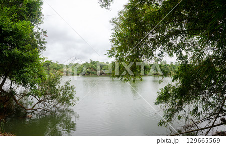 Ranganathittu bird sanctuary in Mysore, Karnataka, India 129665569