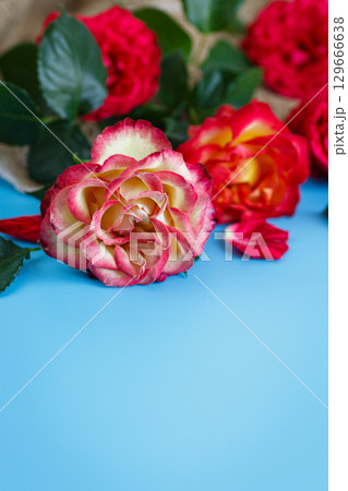 Elegant rose heads with natural green leaves around Elegant rose heads with natural green leaves around 129666638