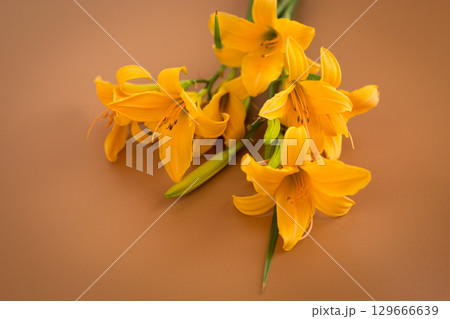 Top view of lilies in soft brown palette 129666639