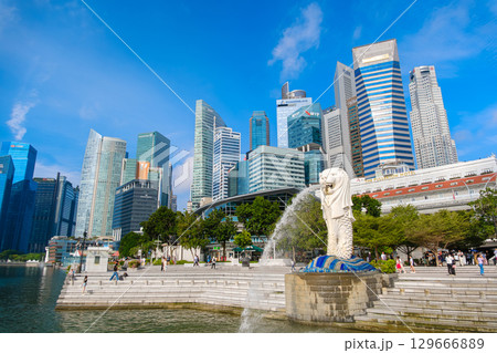 シンガポール 青空に映えるマーライオン像と高層ビル群 129666889