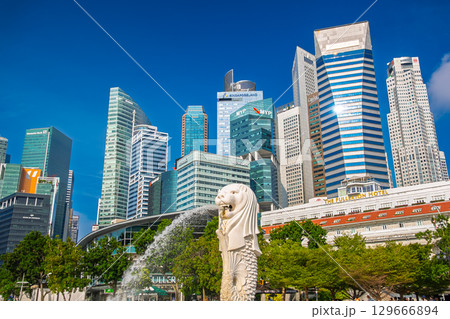 シンガポール 青空に映えるマーライオン像と高層ビル群 129666894