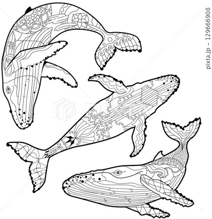Set of swimming whale for anti stress Coloring Page. 129666908