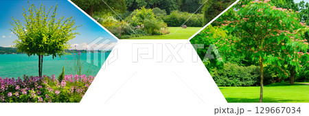 Flowerbeds in gardens and parks. Collage. Mosaic pattern. 129667034