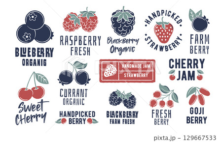Berry Logo Set 129667533