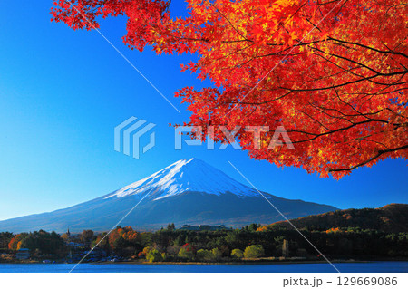 【山梨県】秋の紅葉した河口湖と富士山 129669086
