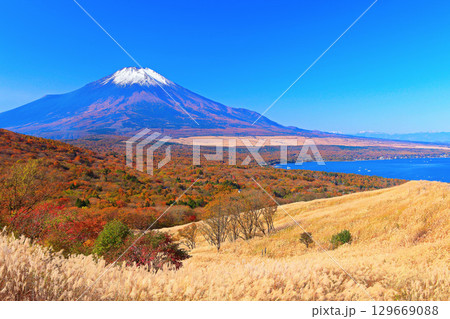 【山梨県】山中湖パノラマ台から見た紅葉と富士山 129669088
