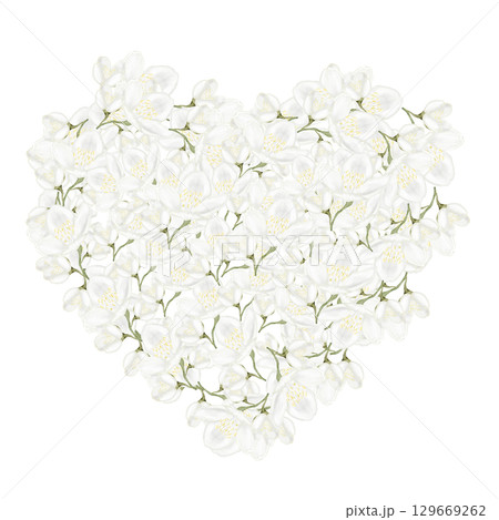 Jasmine white flower watercolor frame. Hand drawn bud delicate in the shape of a heart. Clip art botanical on white background. Ideal for logo of tea and aromatic products from jasmine 129669262