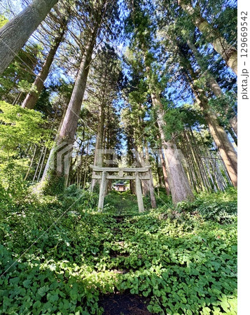 荒戸神社　参道の景色　岡山 129669542
