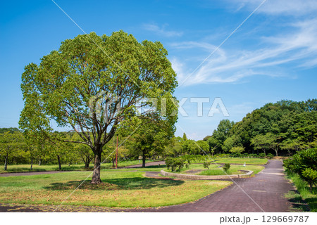 夏の市民公園《四日市南部丘陵公園 北ゾーン 》 129669787