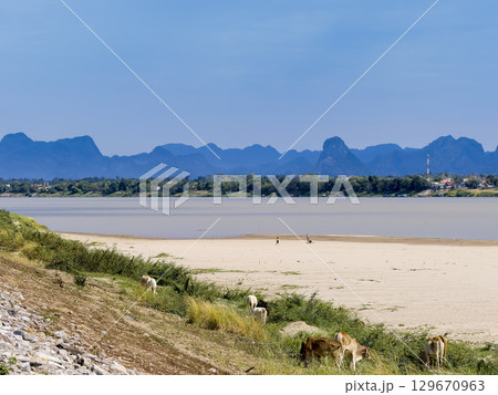 タイ東北部・ナコーンパノムから望むメコン川とラオスの山々 / Nakhon Phanom 129670963
