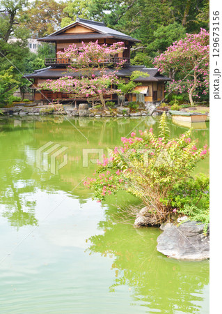 京都御苑の百日紅と拾翠亭 京都御苑の百日紅と拾翠亭 129673156