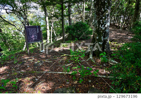 御坂山地の城山（本栖城跡）山頂 129673196