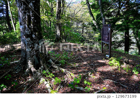 御坂山地の城山(本栖城跡)山頂 御坂山地の城山(本栖城跡)山頂 129673199