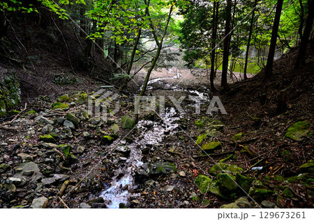 御坂山地の三方分山にて 精進川 御坂山地の三方分山にて 精進川 129673261