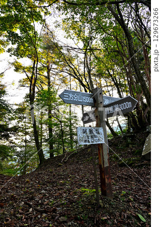 御坂山地の三方分山にて　朝の阿難坂峠 129673266