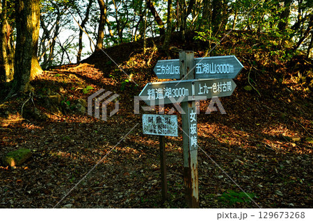 御坂山地の三方分山にて　阿難坂にそそぐ朝日 129673268
