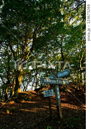 御坂山地の三方分山にて　阿難坂にそそぐ朝日 129673269