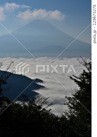 御坂山地の三方分山山頂より　霧の精進湖に聳える富士山 129673278